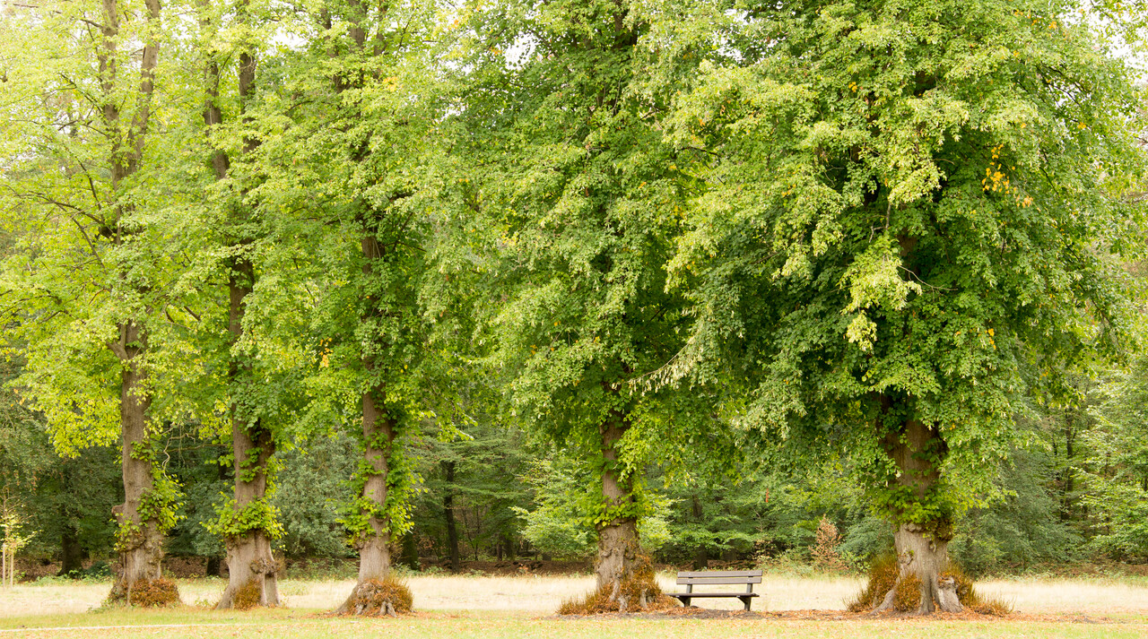 Children's excursion play and walk, Erf van Daendels