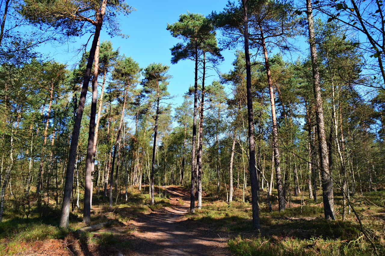 Fresh morning walk, Majuba and Scherpenberg