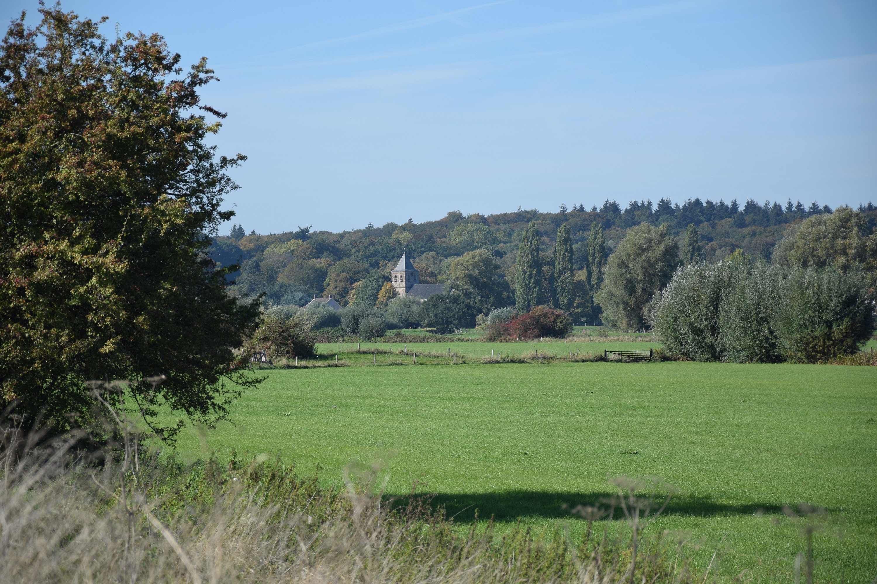 Walking along the Slijpbeek, Mariëndaal estate, Rosandepolder