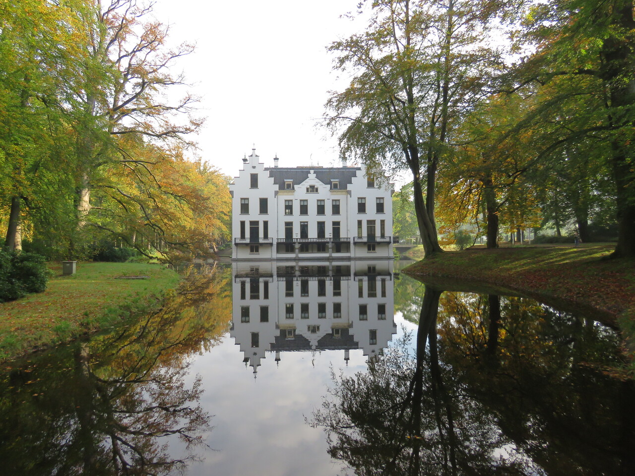 The forest between summer and autumn, Staverden estate