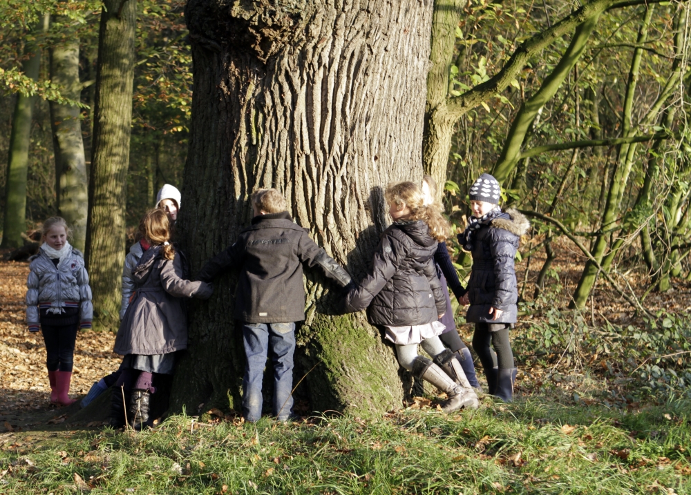 Children's activity, Schaffelaar estate