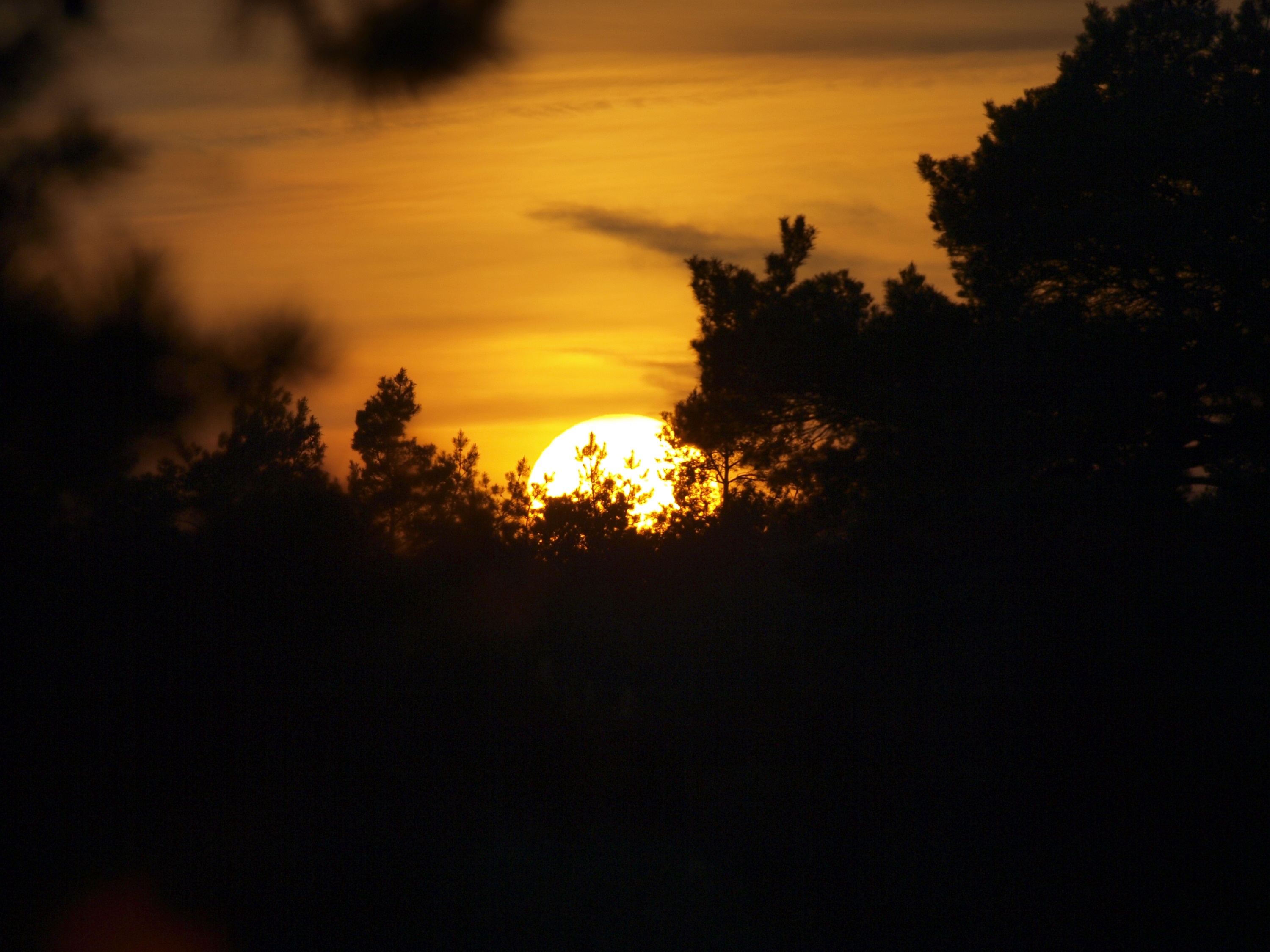 Night of the Night, Tongeren Heath