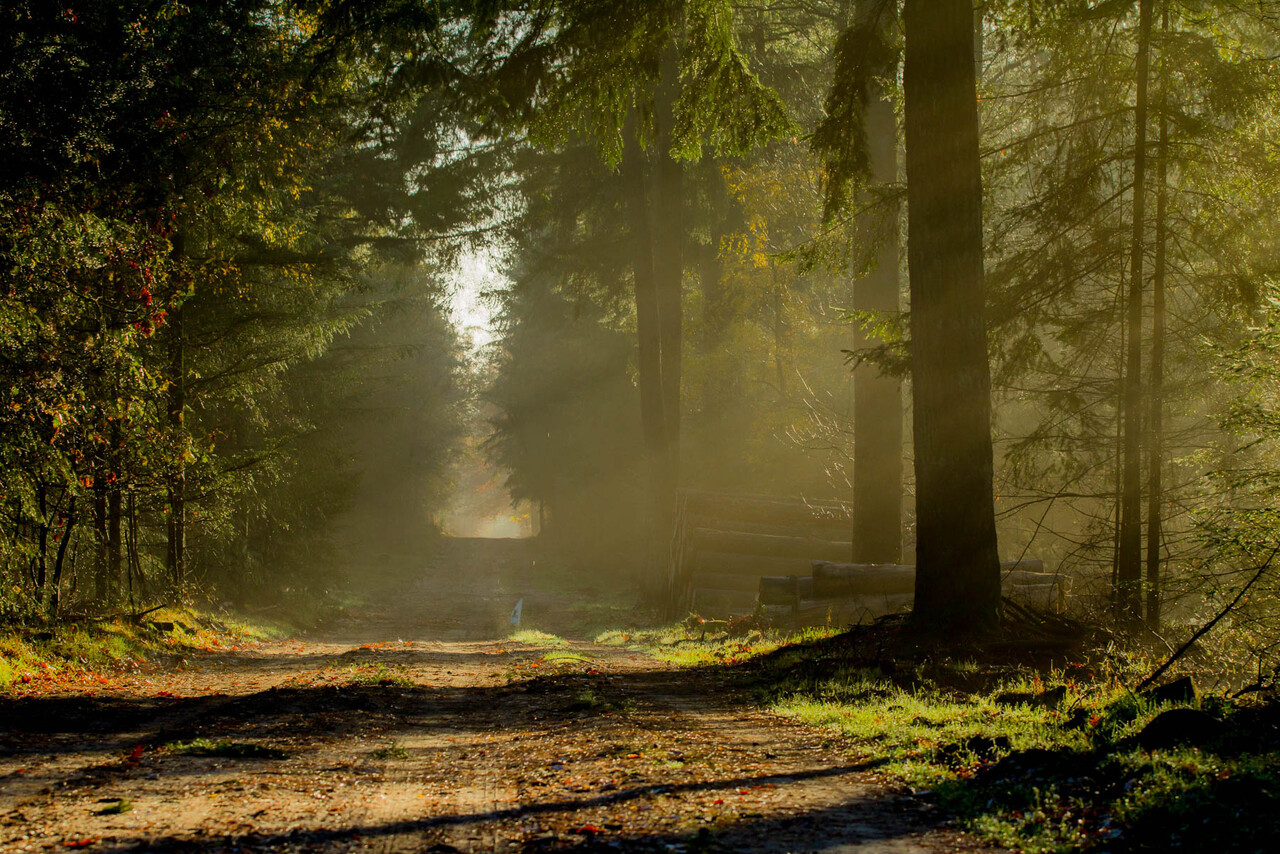 Tough winter hike, De Dellen estate