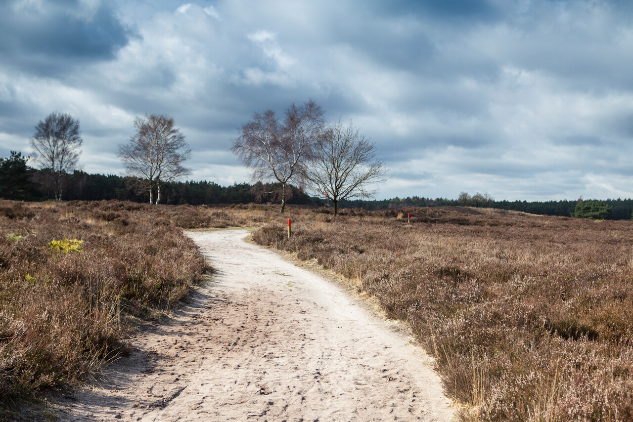 Nature in change, Tongeren Heath