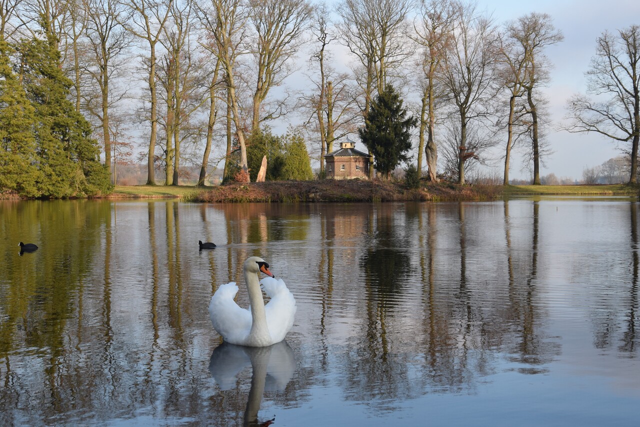 Estate walk, Biljoen estate
