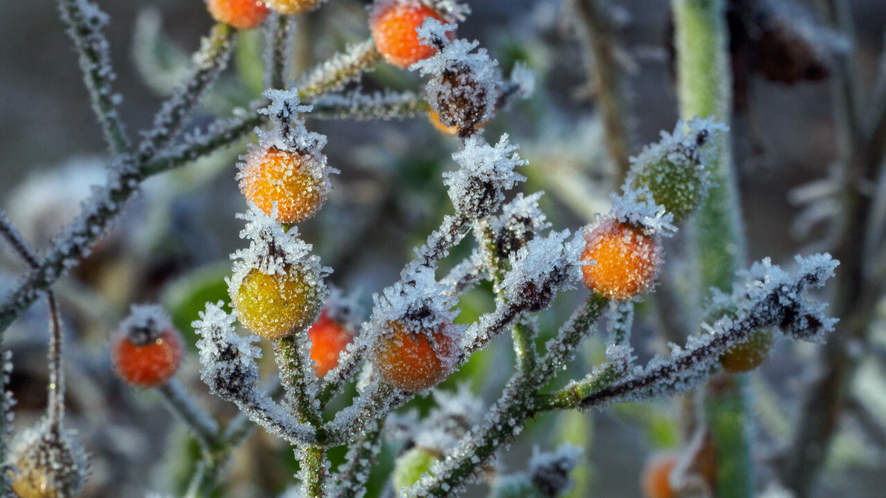 Winter walk, Warnsborn estate