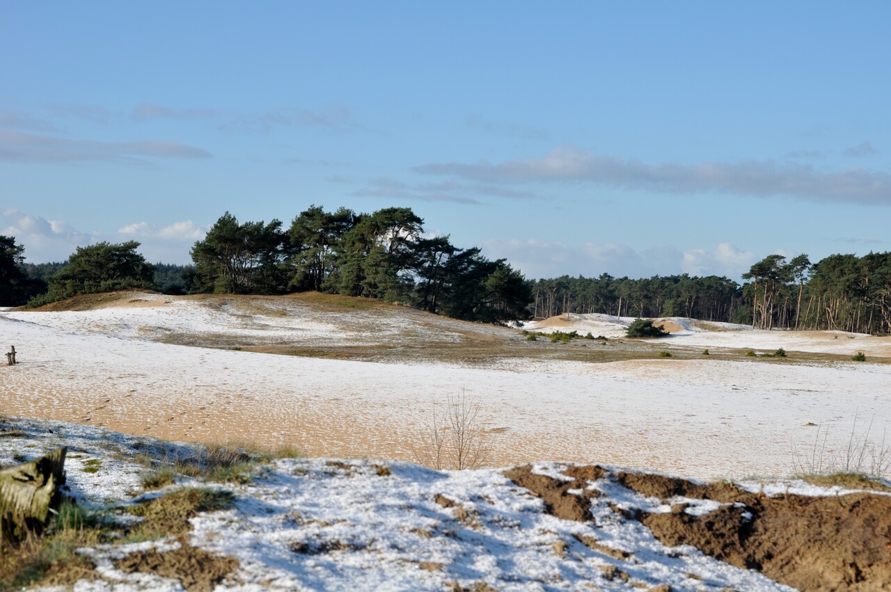 New Year's Walk, Wekeromse Zand