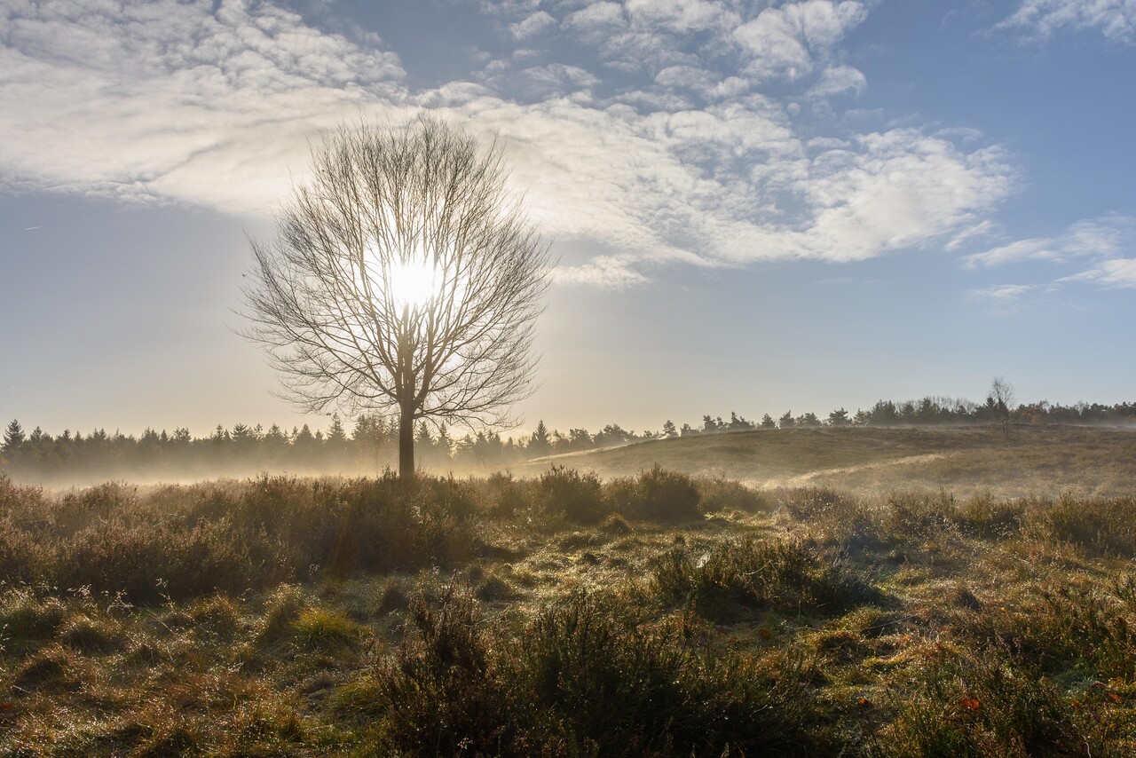 A refreshing morning walk on the Petrea estate