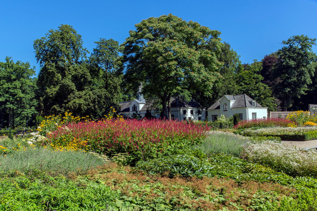 Hidden pearls, Staverden estate