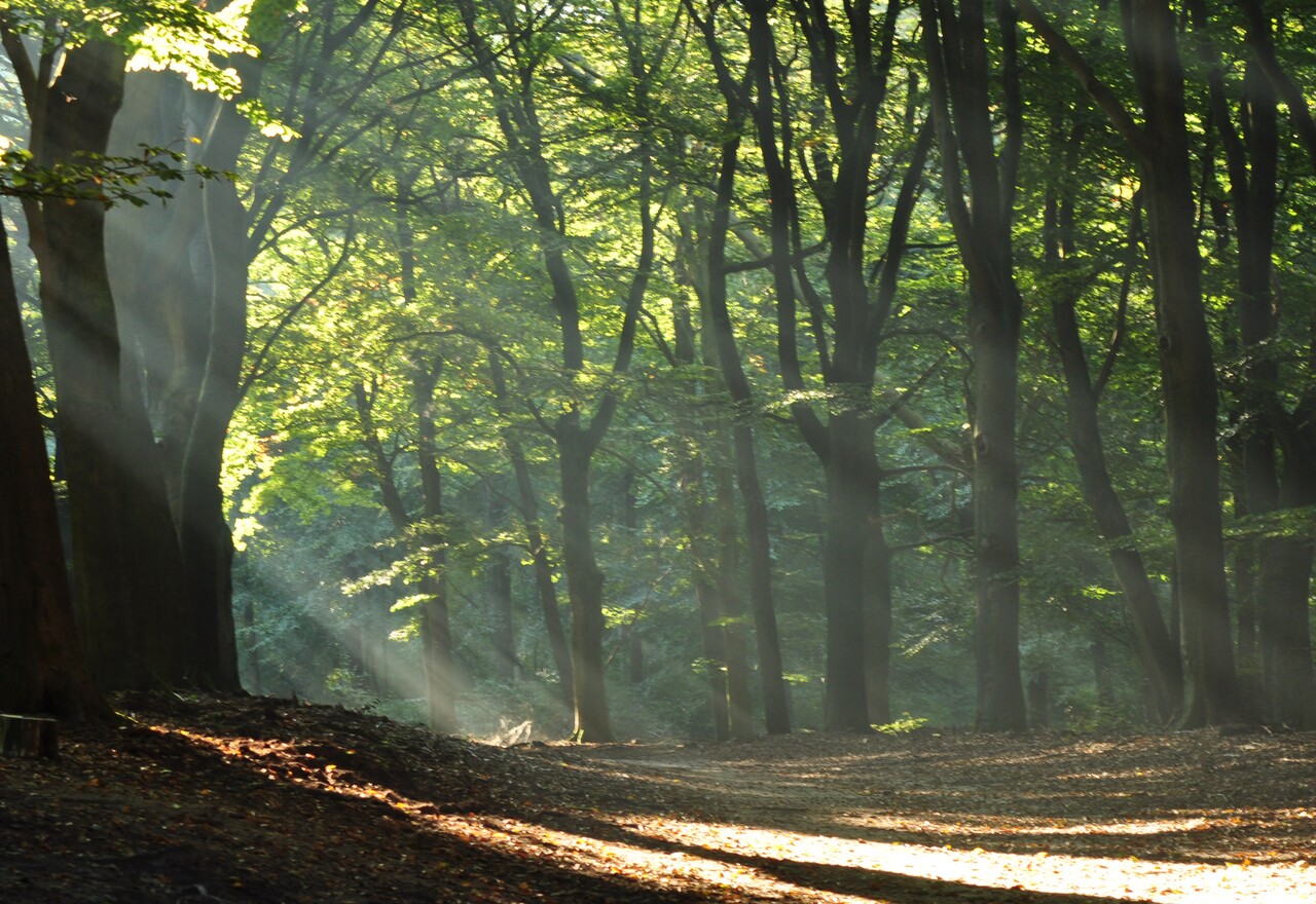 Cultural-historical walking tour, Hoekelum Estate