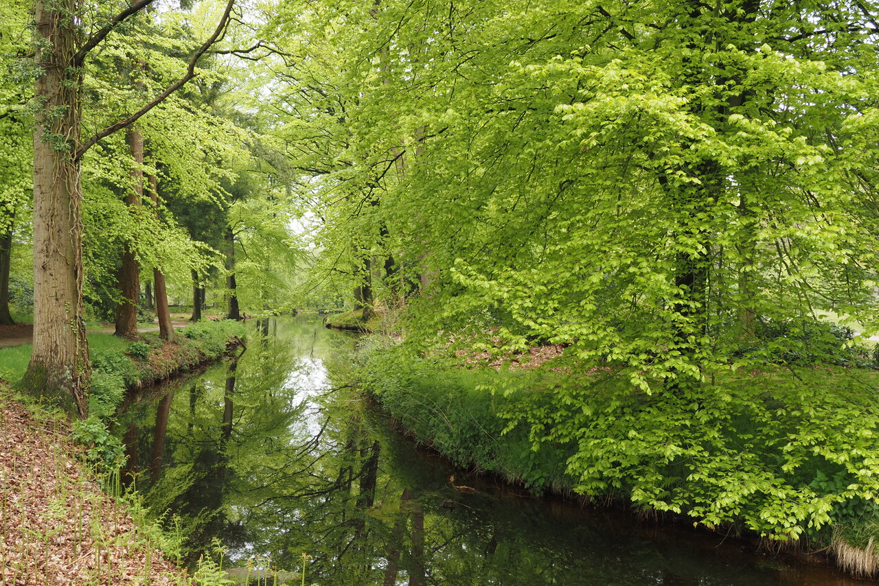 Walk with the forest ranger through the Staverden estate