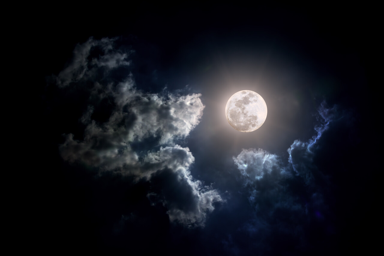 Full Moon Walk on the Tongerense Heide