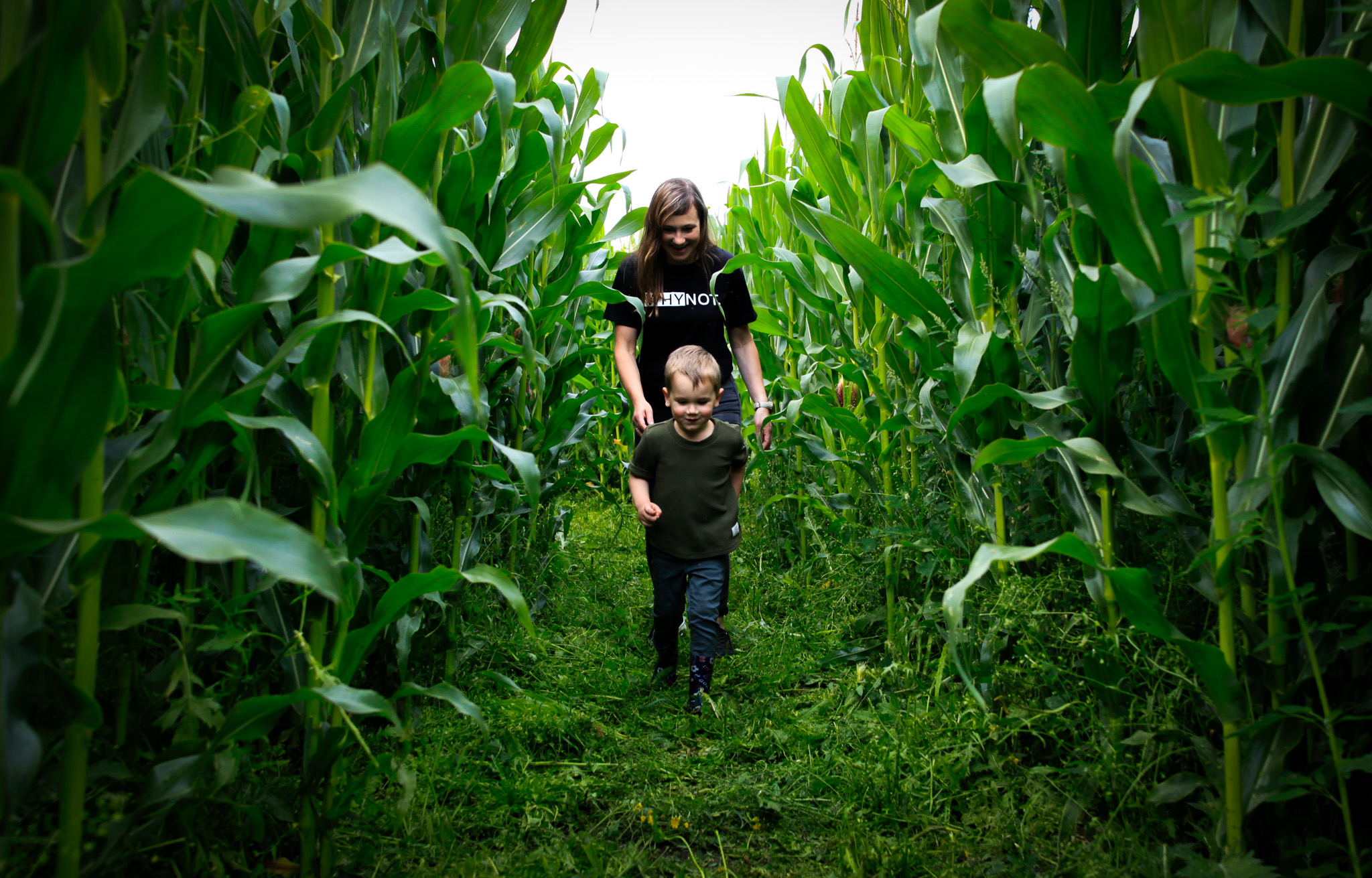 Corn Maze in Otterlo!