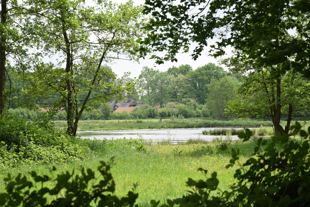 Cultural-Historical Walk on the Hoevelaken Estate